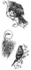 Thumbnail 3 x Tattoo flashes - Birds Thumbnail 3 x Tattoo flashes - Birds