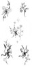 Thumbnail 5 x Tattoo flashes - Butterflies with Flowers
