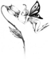 Thumbnail Tattoo flash - Fairy with rose Thumbnail Tattoo flash - Fairy with rose