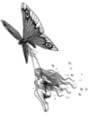Thumbnail Tattoo flash - flying Fairy with butterfly Thumbnail Tattoo flash - flying Fairy with butterfly