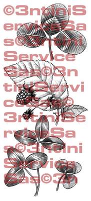 Product picture 3 x Tattoo flashes - Leaves