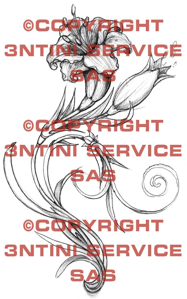 Product picture Tattoo flash - Lilium