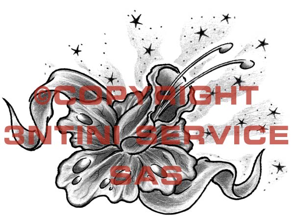 Product picture Tattoo flash - Narcissus with stars